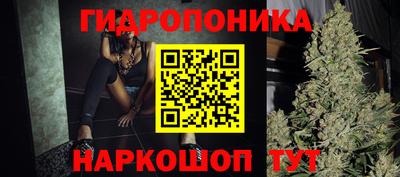 мдпв Обь