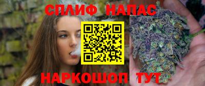 мдпв Обь