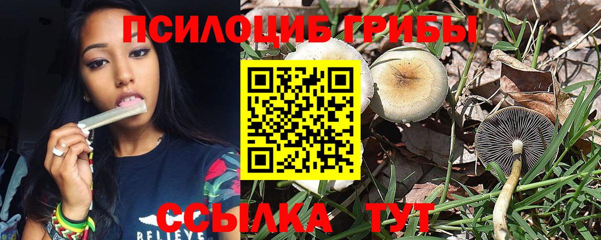 Галлюциногенные грибы прущие грибы Осинники