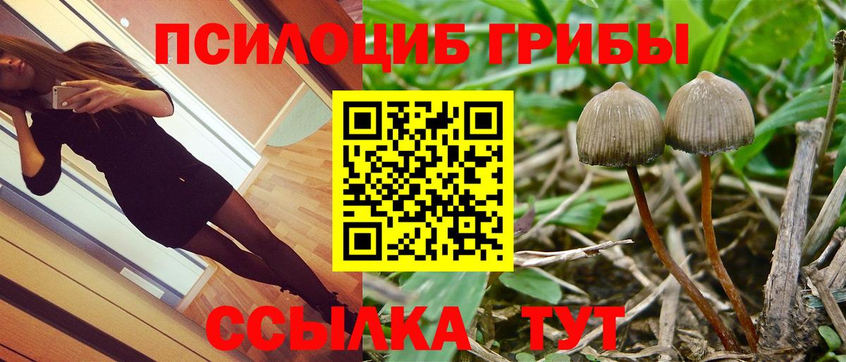 Осинники  Псилоцибиновые грибы MAGIC MUSHROOMS  Вход с VPN 